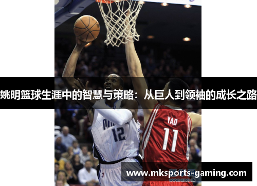 姚明篮球生涯中的智慧与策略：从巨人到领袖的成长之路