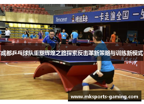 成都乒乓球队重塑辉煌之路探索反击革新策略与训练新模式